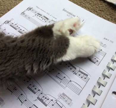 Cat paws on sheet music for Bach Invention 1