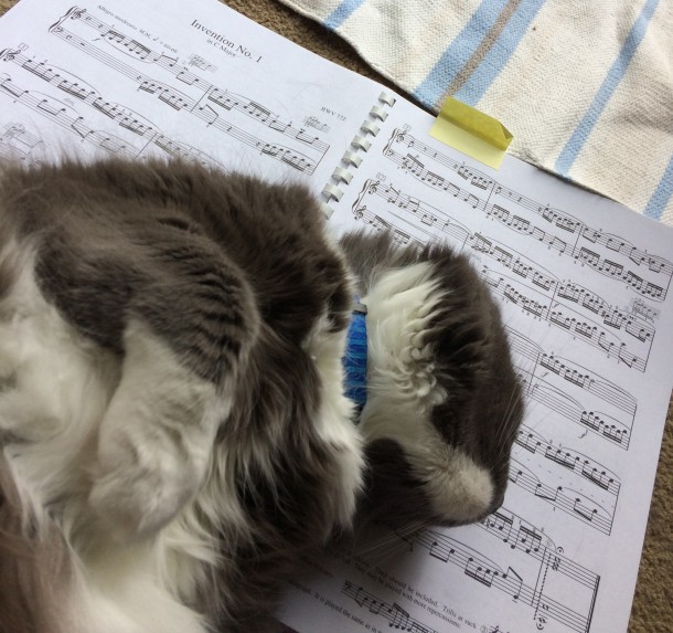 Cat lying on sheet music for Bach Invention 1