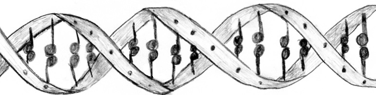 DNA double helix containing music notes holding it together